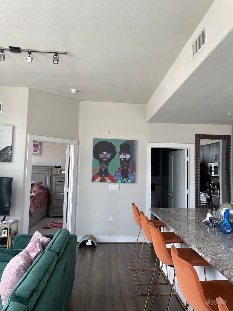  Spectacular Downtown Houston Views  