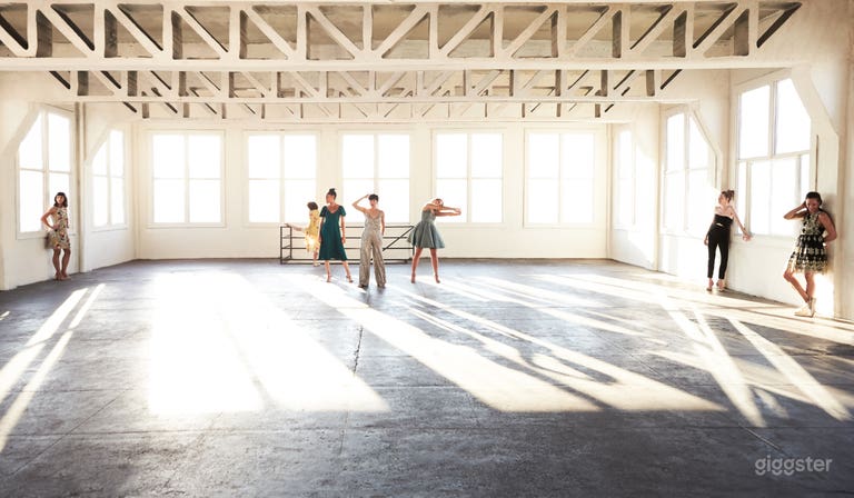  New York style warehouse loft with A/C & Rooftop 