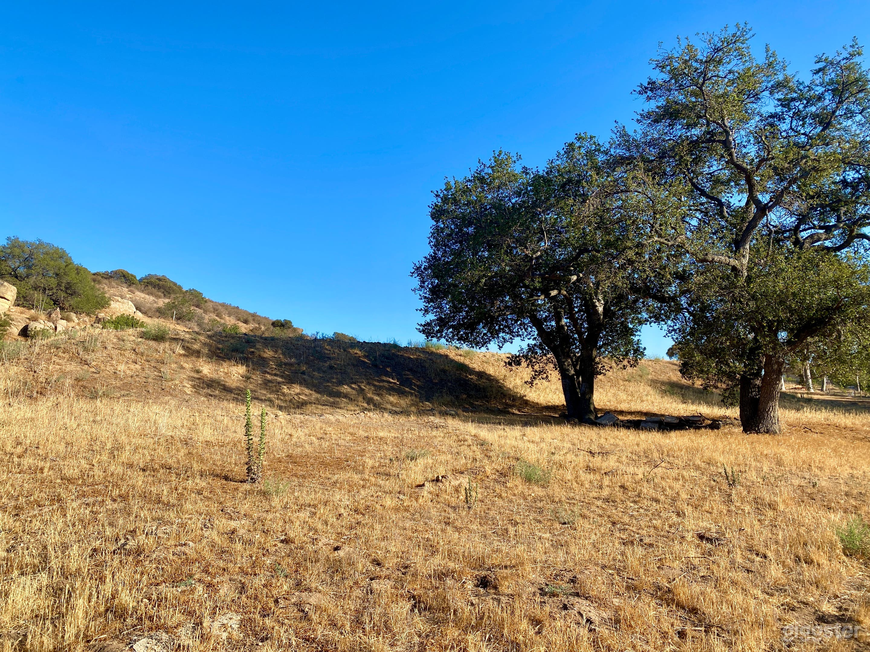 2.4 Acre Land on Iverson Rd in Indian Springs  Photo 4