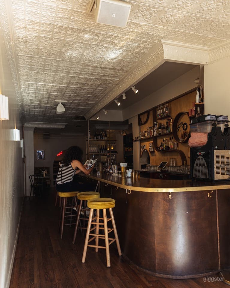  Gorgeous mid-century bar, restaurant, lounge 