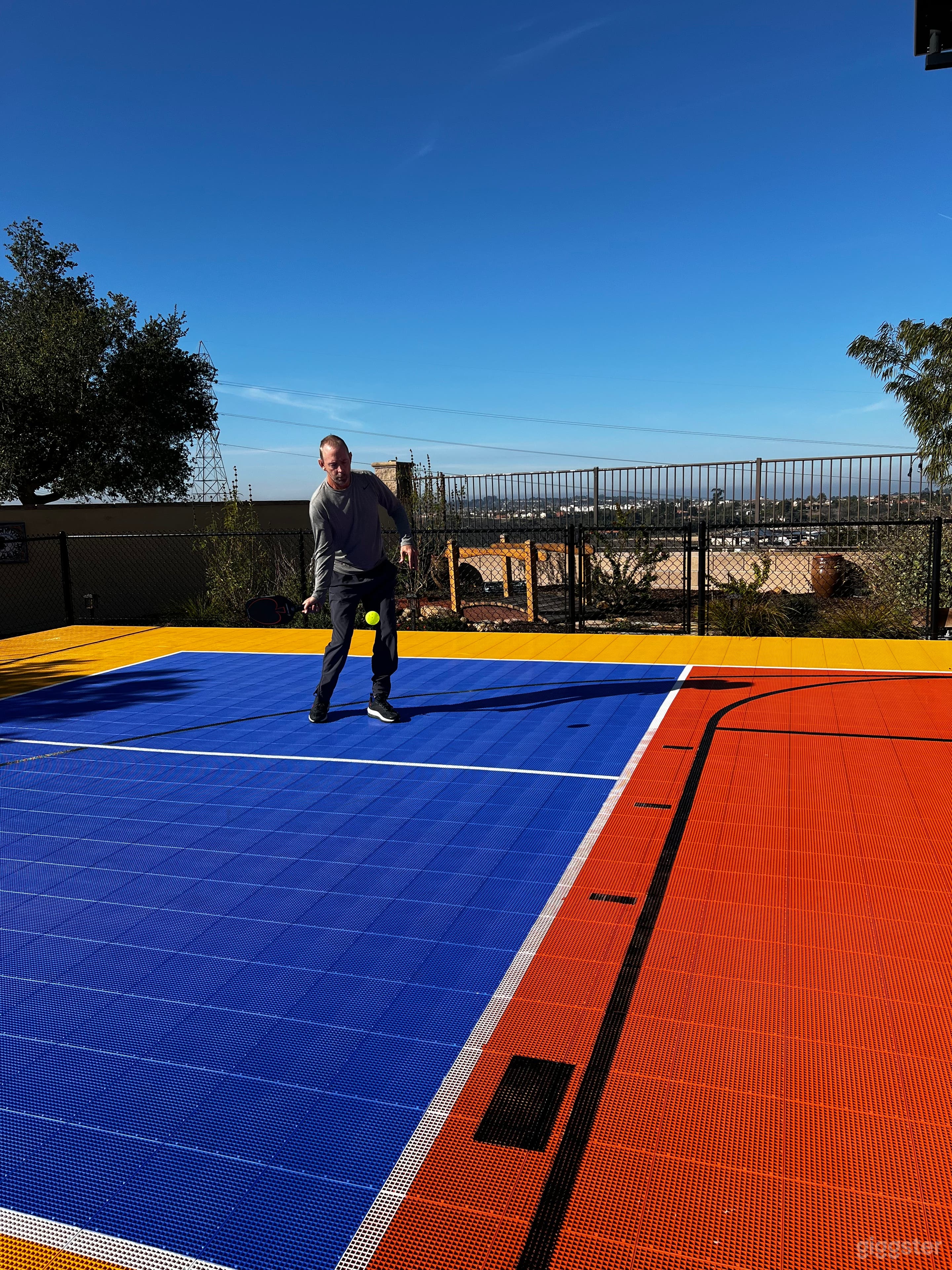 Professional Coach available