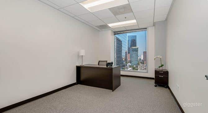 Day office#2 in Downtown LA Photo 1