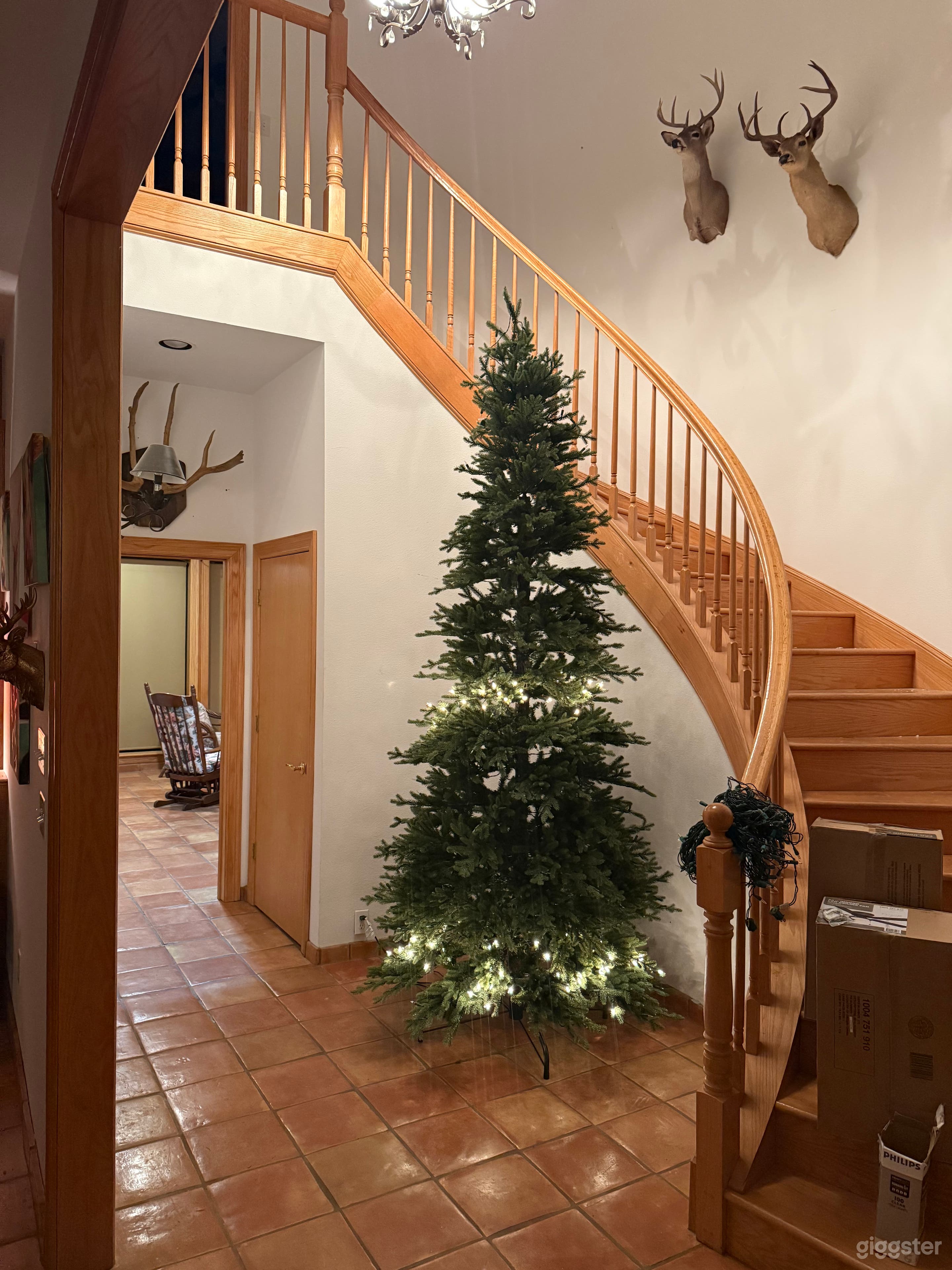 Estate on 9 acres Photo 1