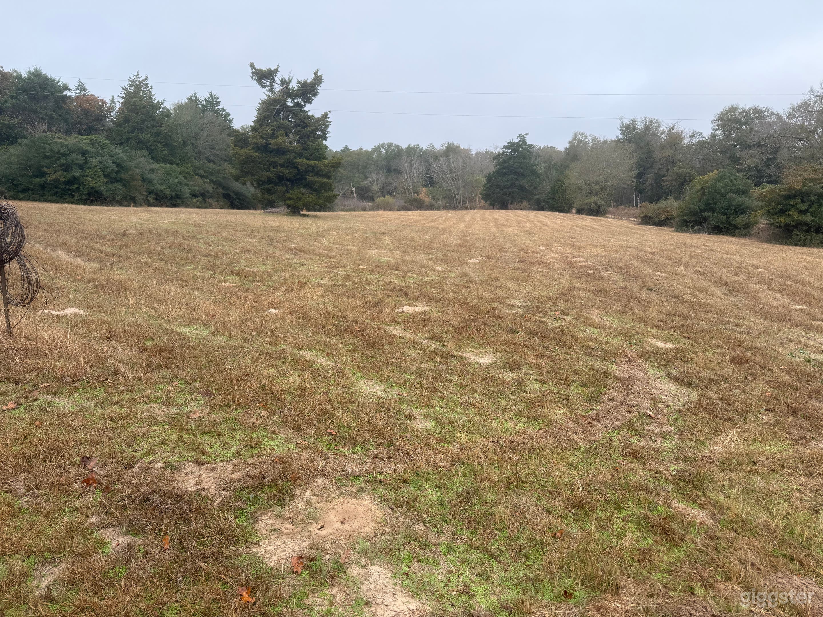 Estate on 9 acres Photo 2