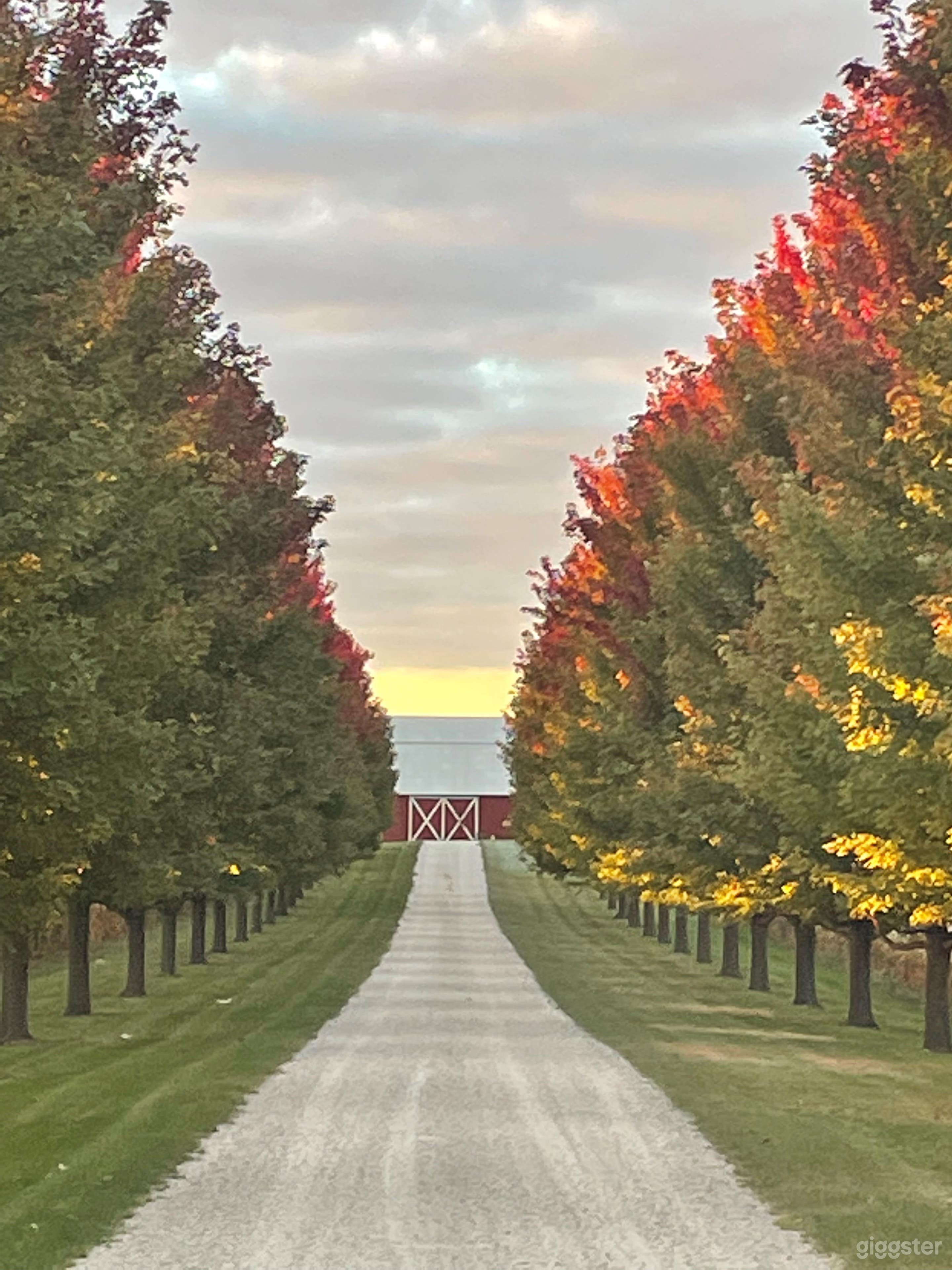 Rural Outdoor Area with Trees Photo 4