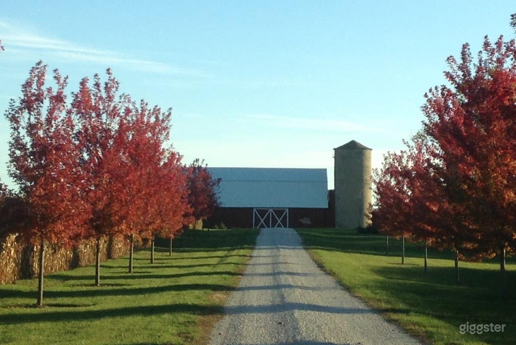 Rural Outdoor Area with Trees Photo 2