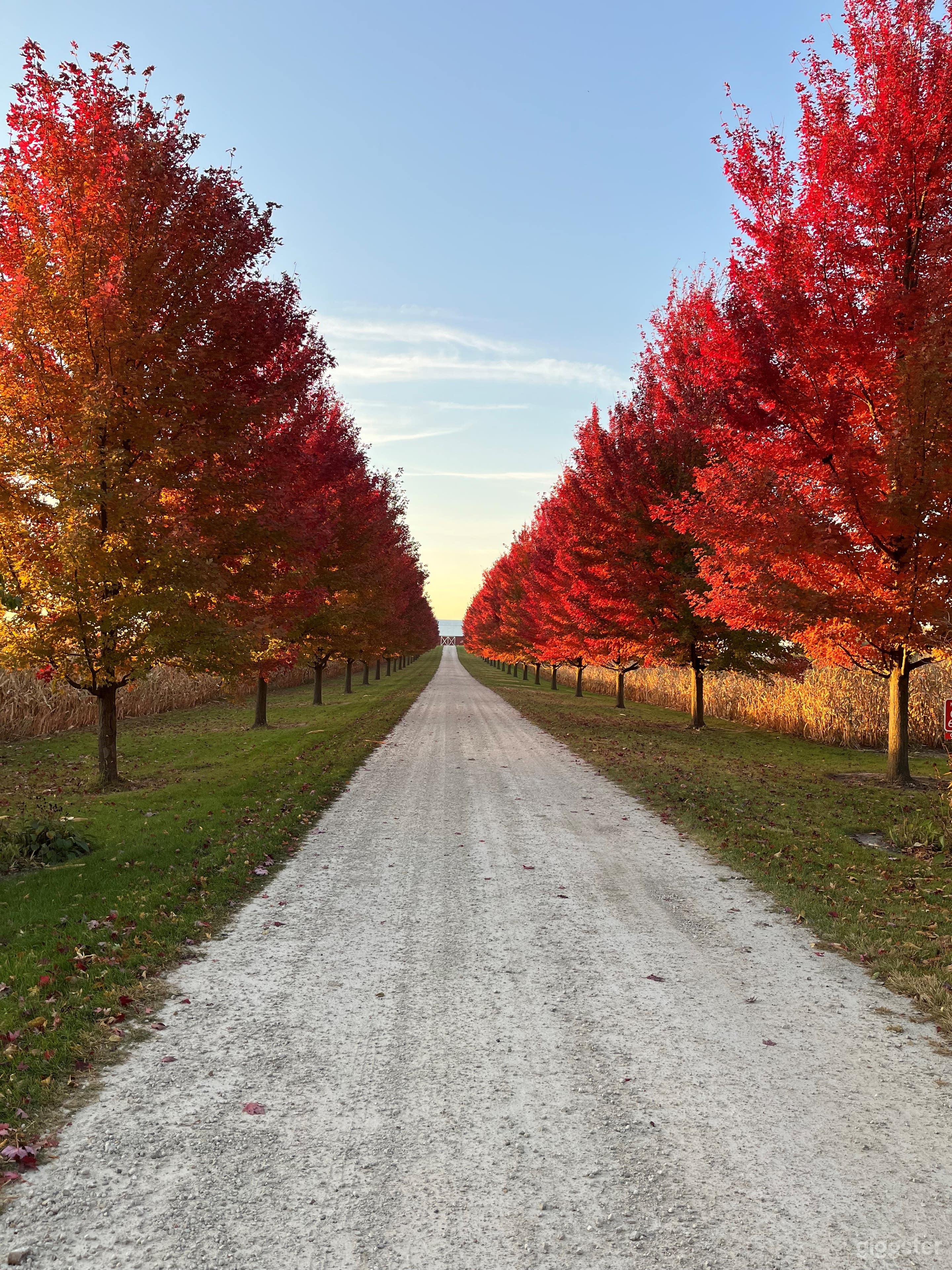 Rural Outdoor Area with Trees Photo 1