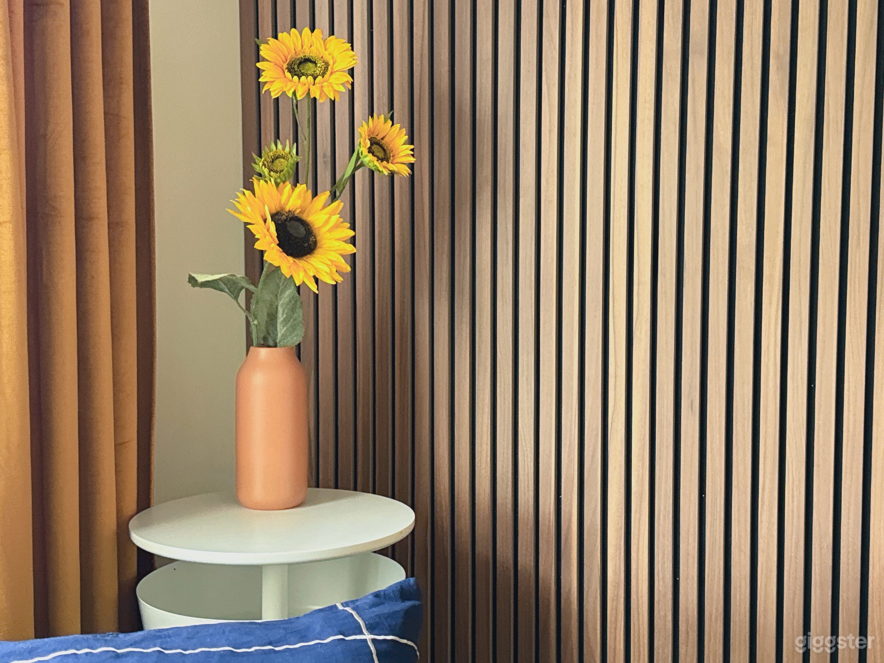 Dream House For Shoot Photo 4