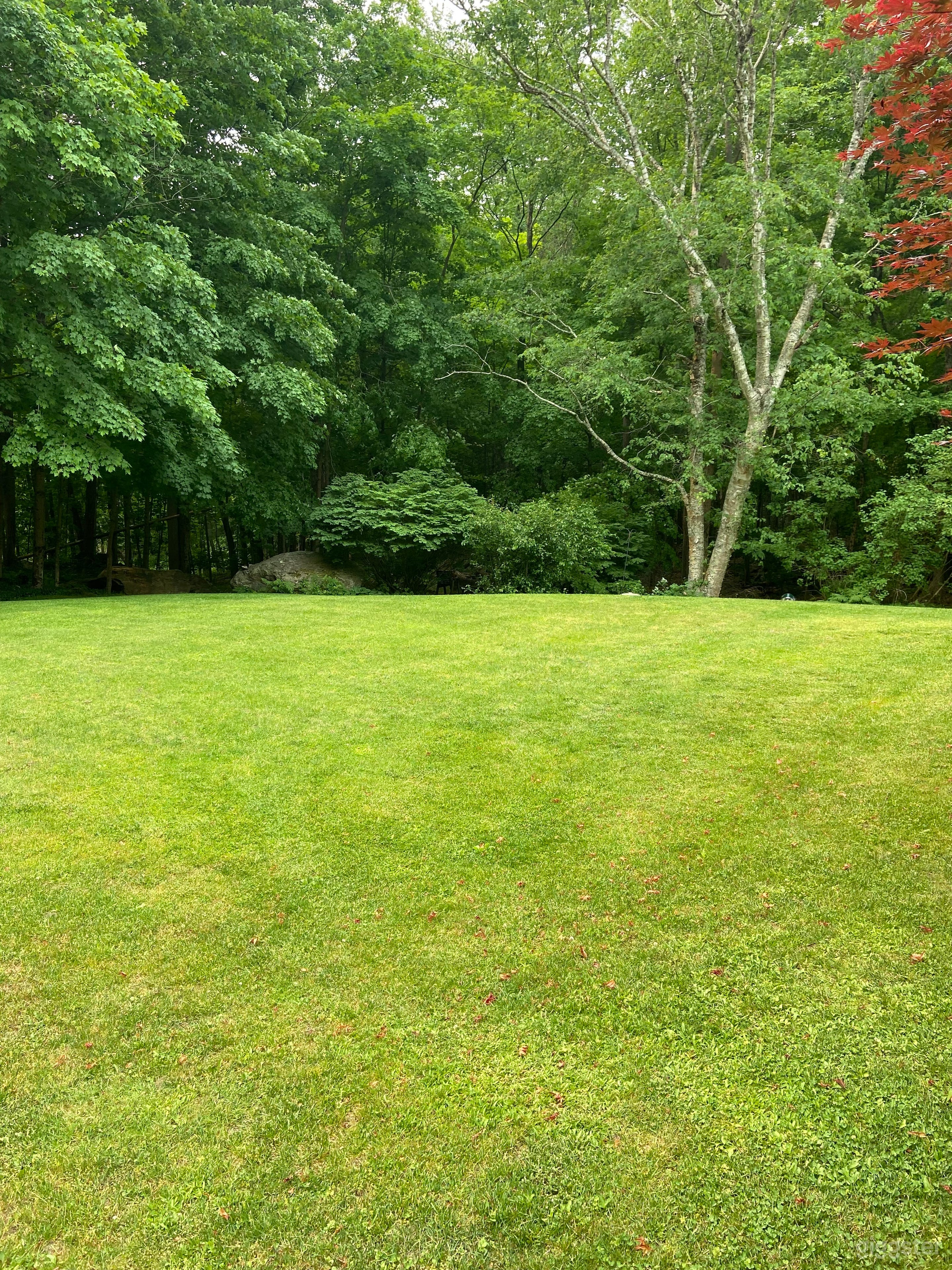 Backyard with landscaping and stream Photo 2