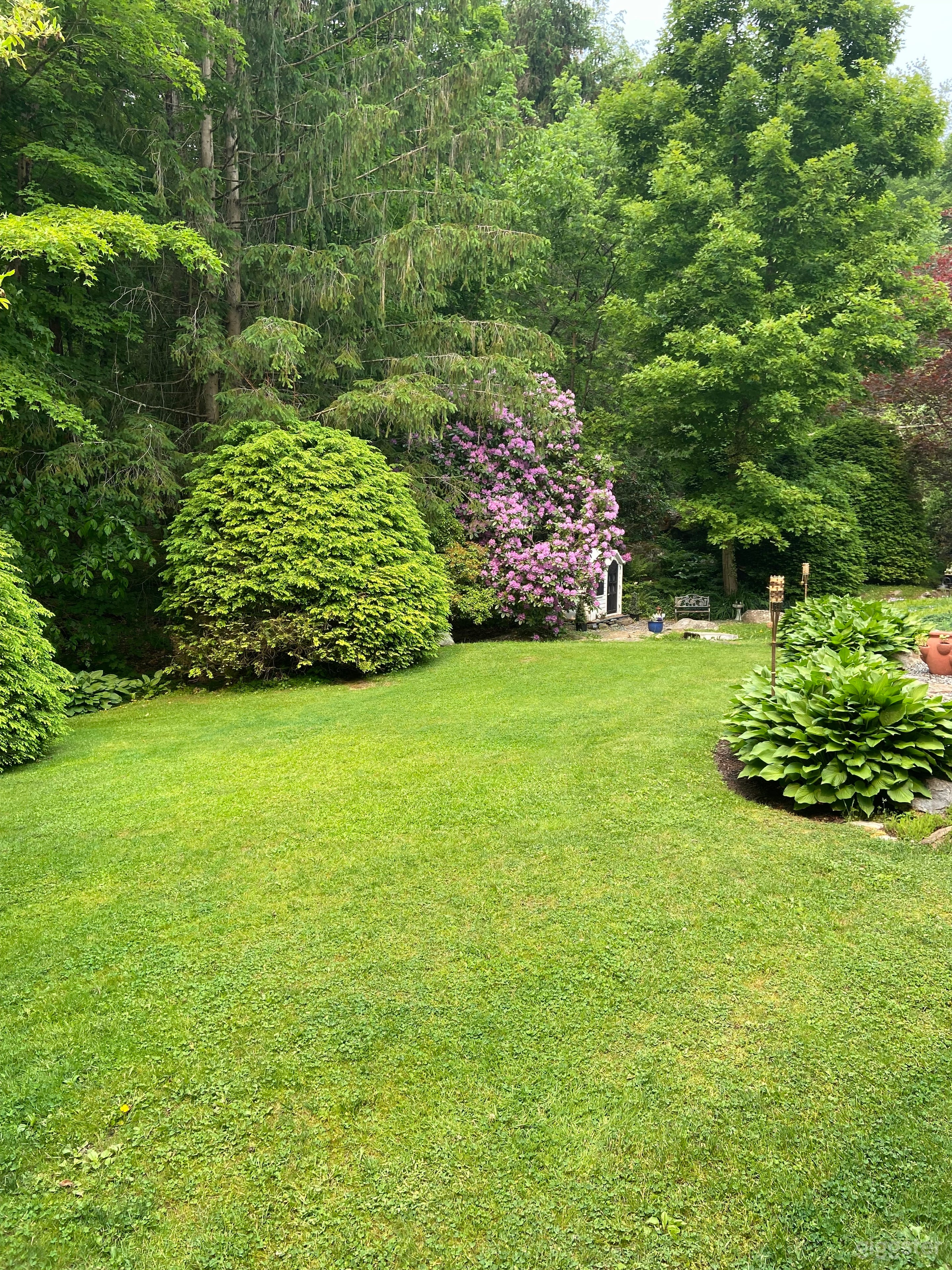 Backyard with landscaping and stream Photo 4
