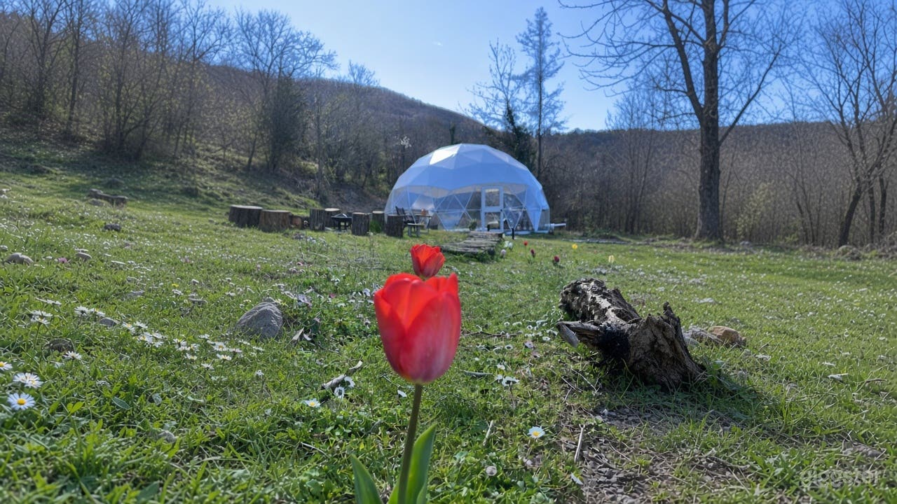 Foto di Agriturismo in mezzo alla natura in Val di Vara Liguria 2