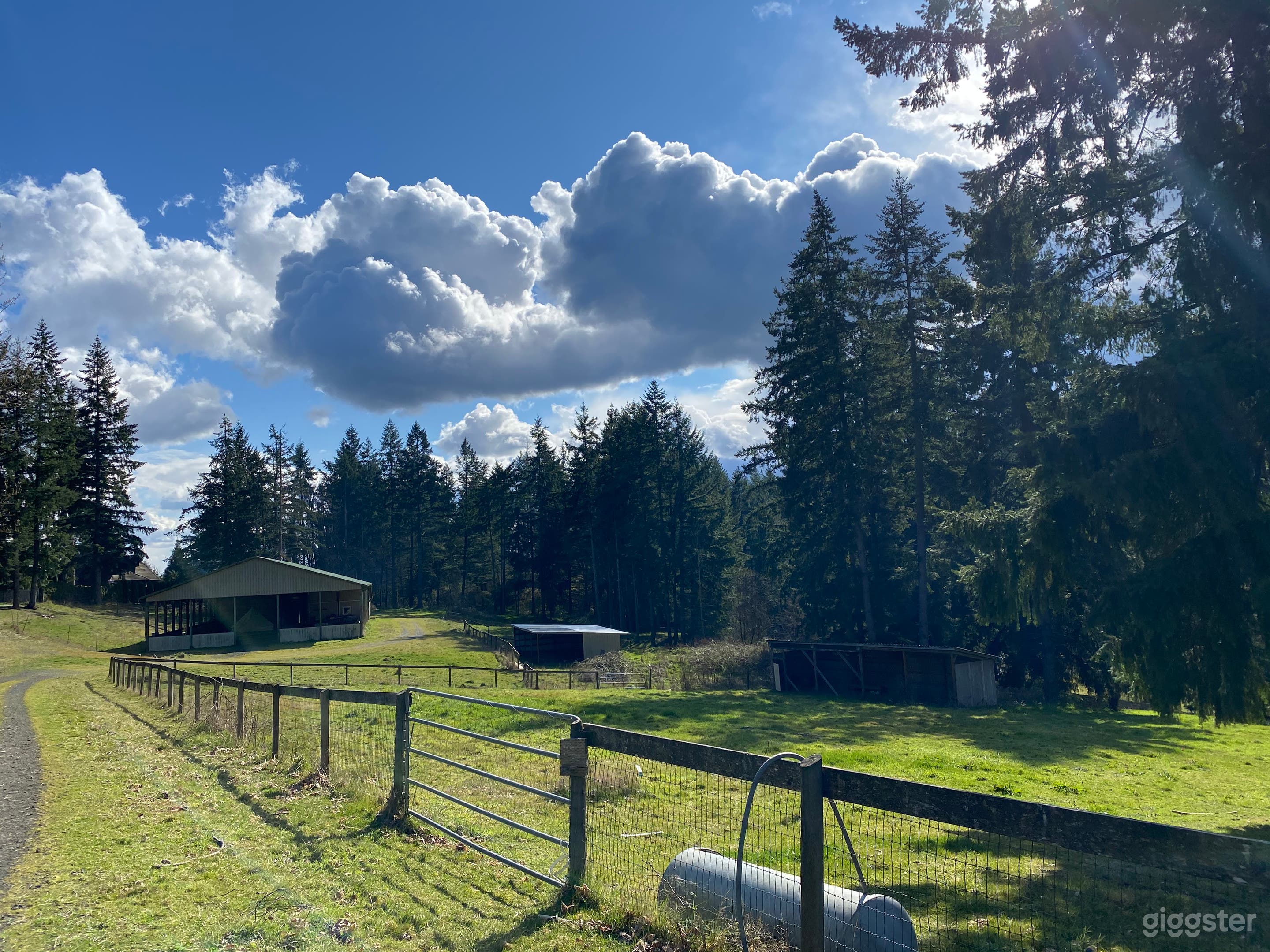 45-Acre Farm With Large Horse Arena &amp; Pastures Photo 3