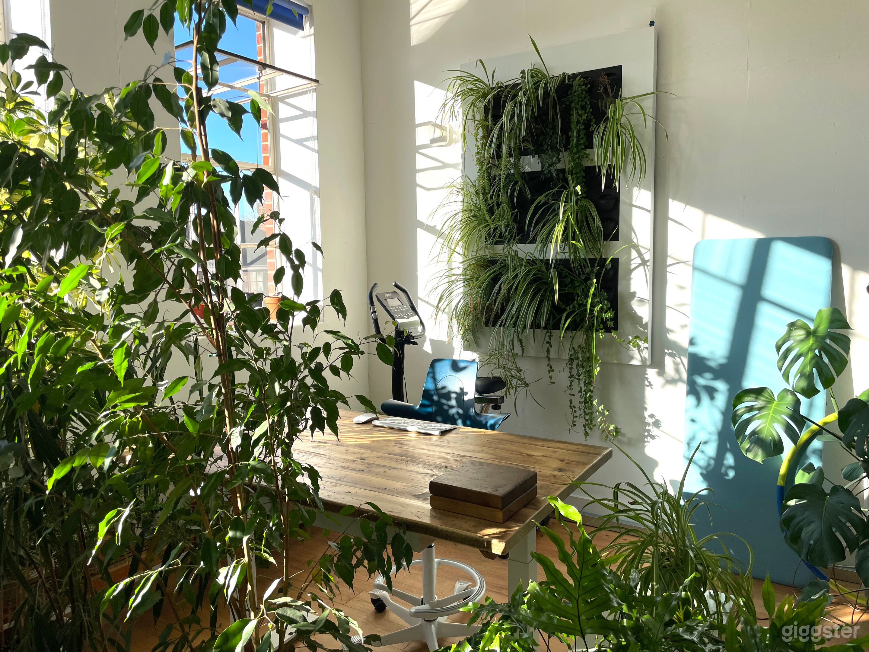 Living plant wall next to a sit-stand desk with a range of wall acoustic panels in different colours.