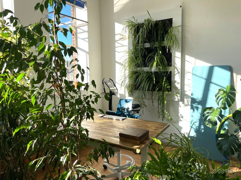  Living plant wall next to a sit-stand desk with a range of wall acoustic panels in different colours. 