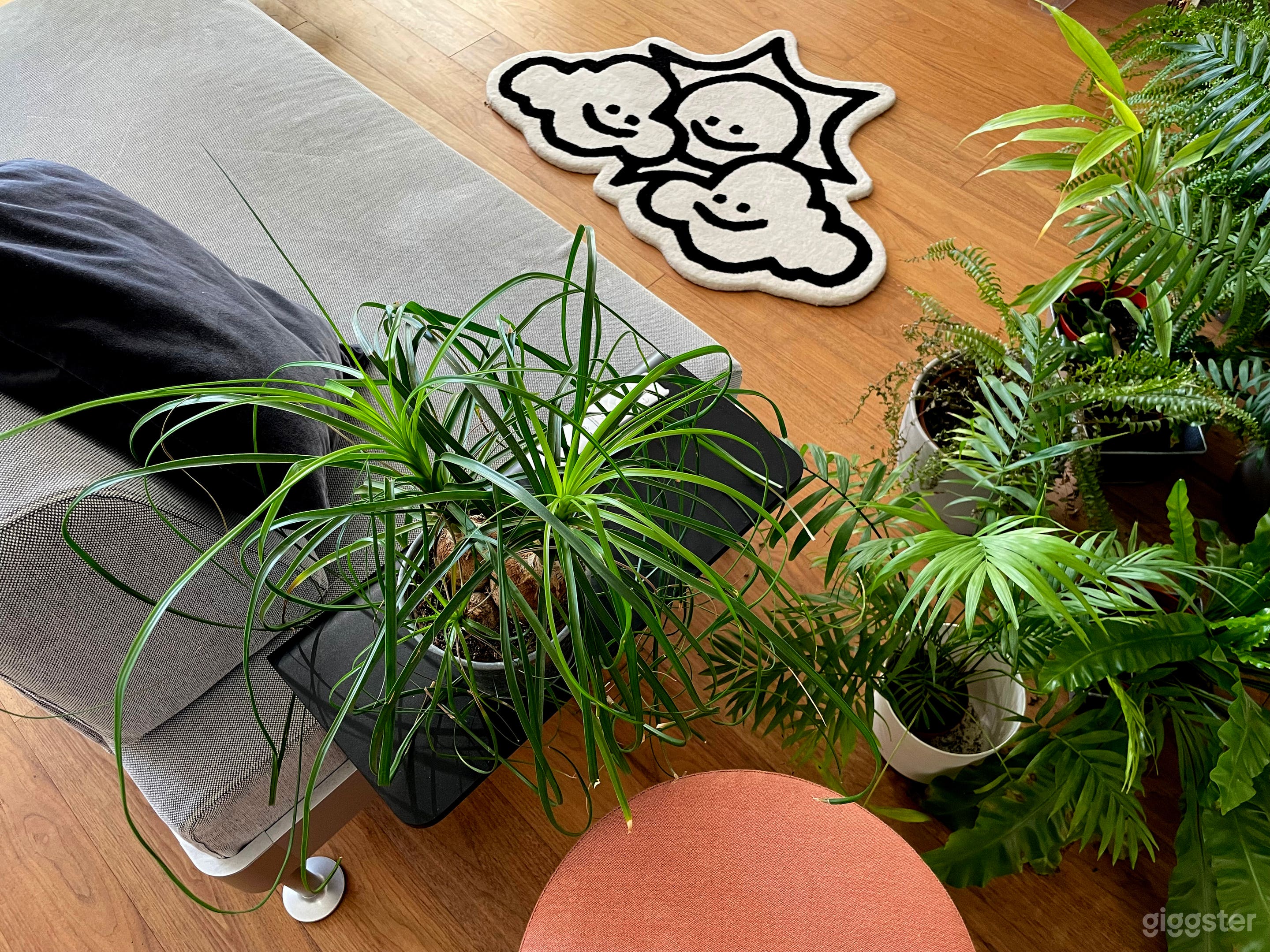 Modern art rug, sofa surrounded by more plants and stool from profim.