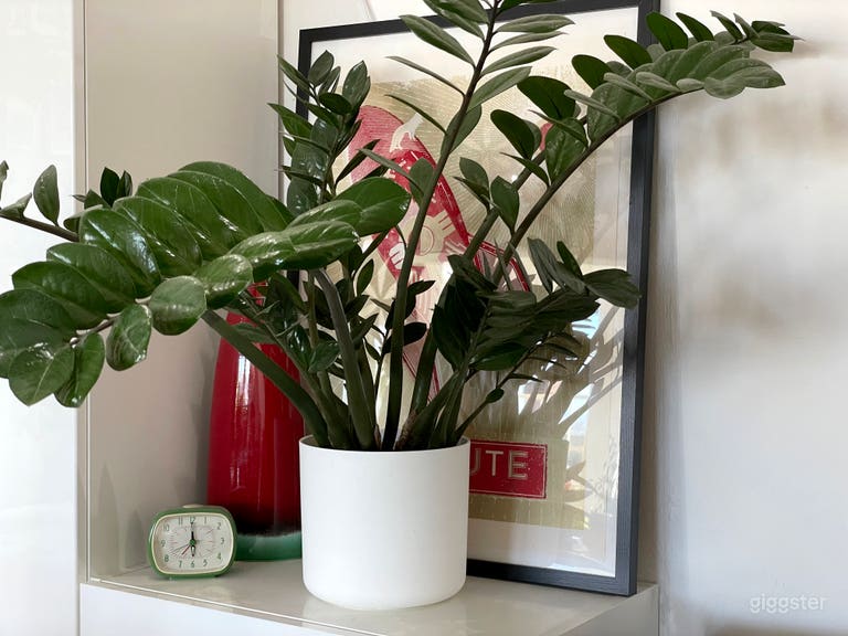  Corner area, framed art print behind a beautiful office plant displayed with a few matching contemporary objects. 