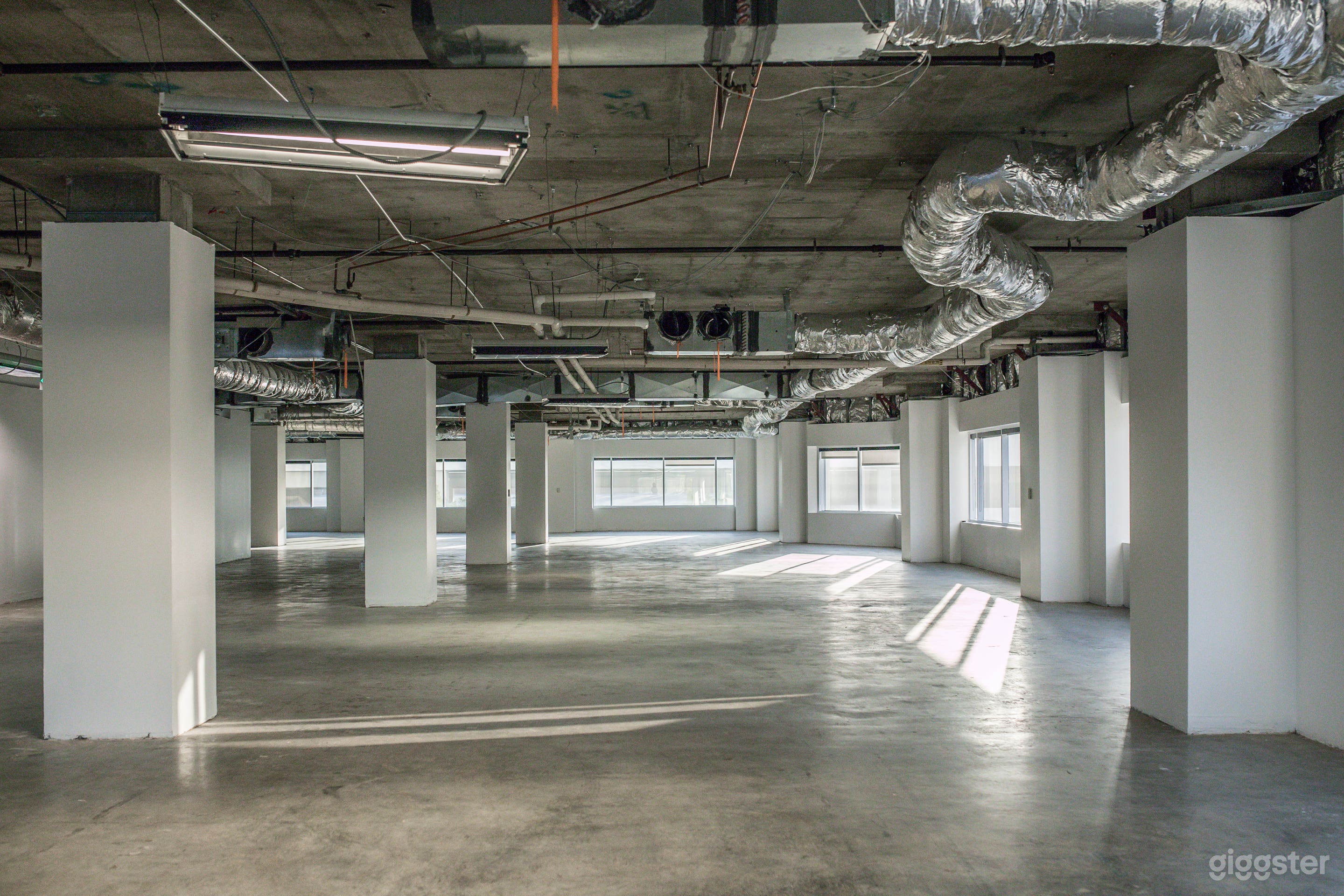 Nola 155 Shell Floor Photo 4