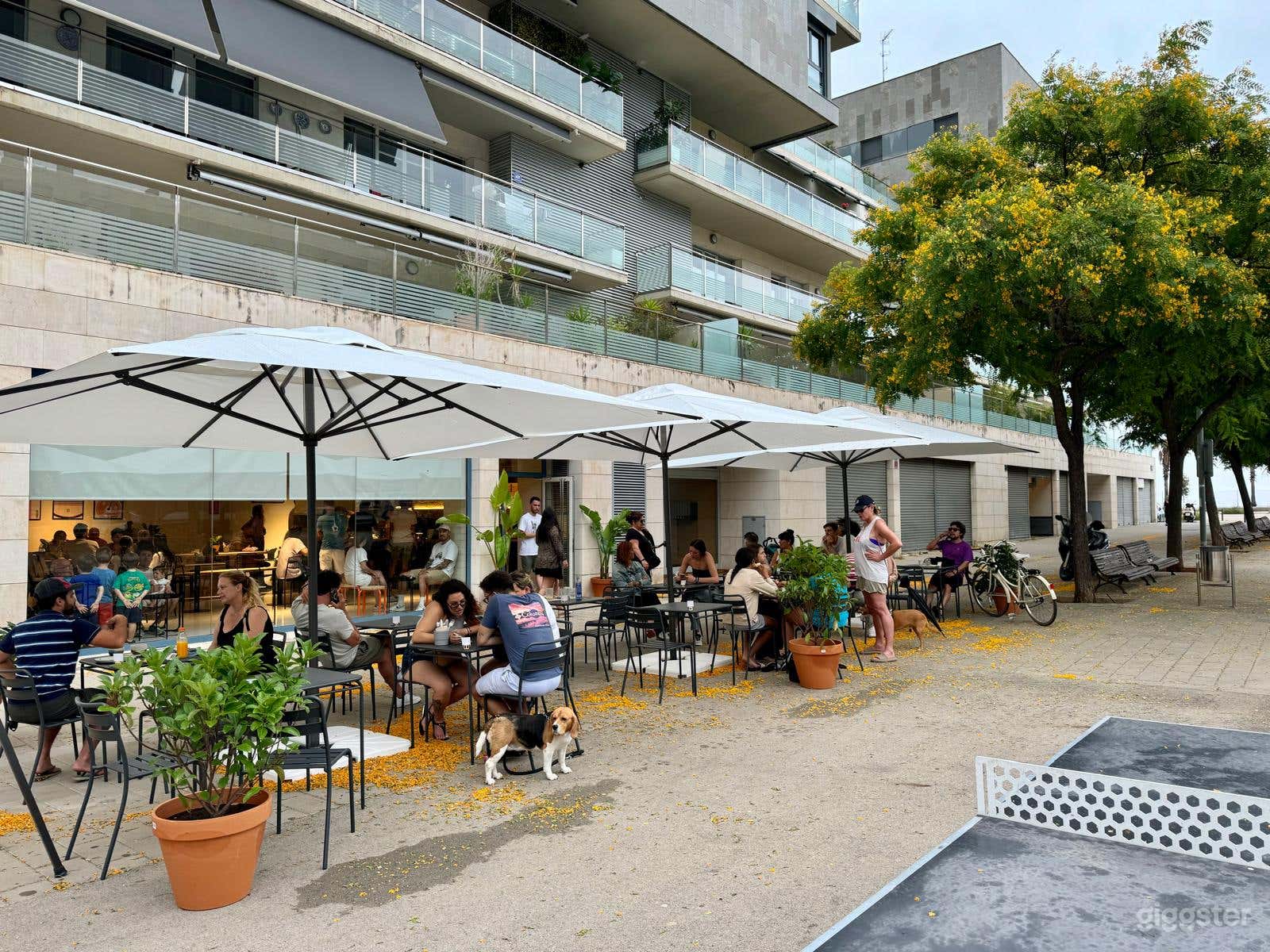 Café moderno con interior espacioso y terraza Foto 3