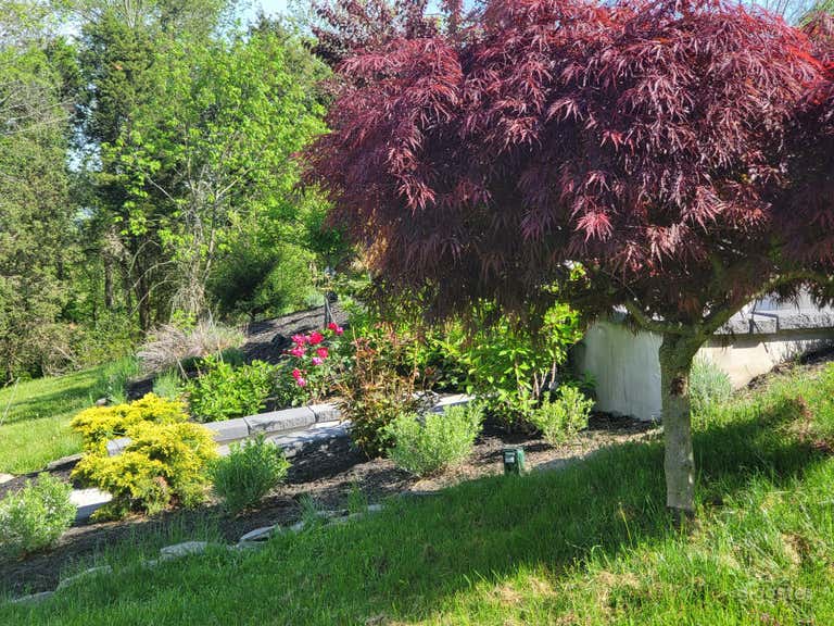  Mountainview Estate with firepit pool garden 