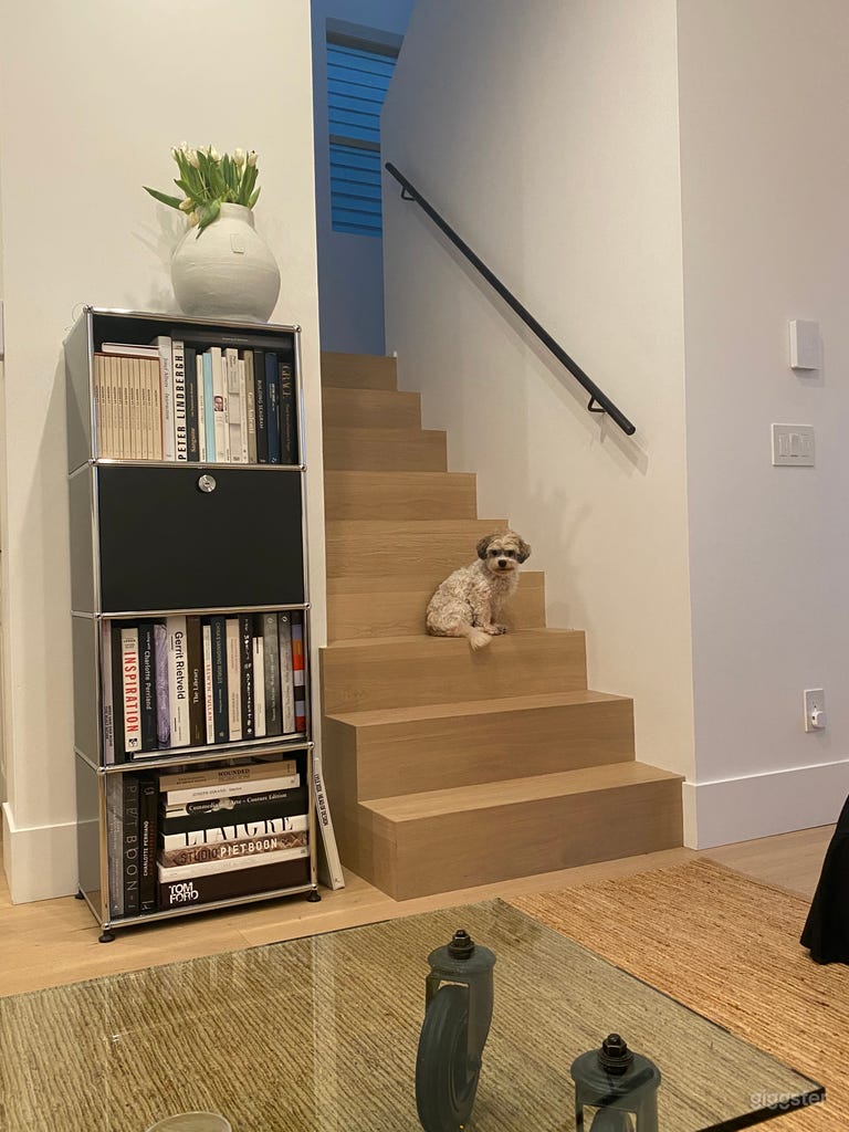  San Francisco charm with high end modern interior 