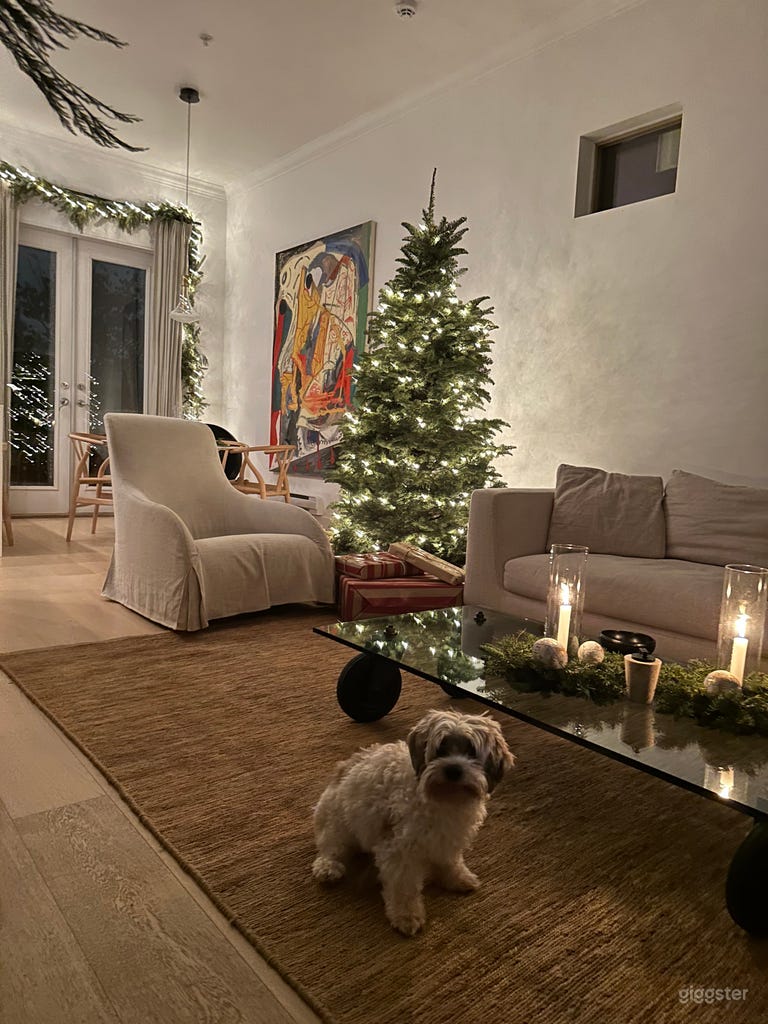  San Francisco charm with high end modern interior 