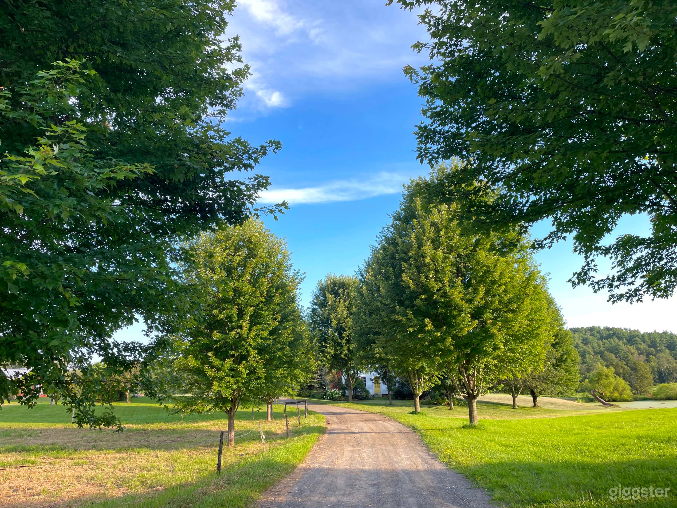 Large Grounds, Pastures and Pond with Panoramic Vistas Photo 1