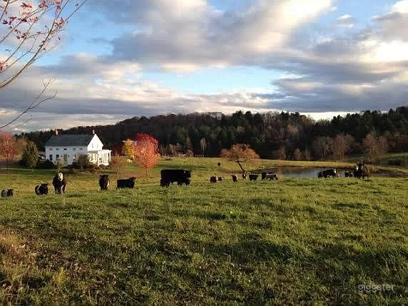 Large Grounds, Pastures and Pond with Panoramic Vistas Photo 3