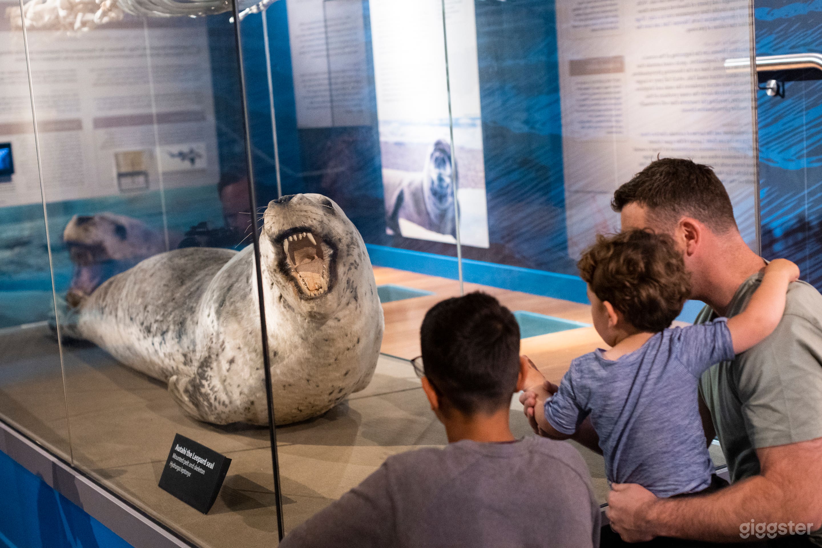 Nature Gallery Museum Photo 4