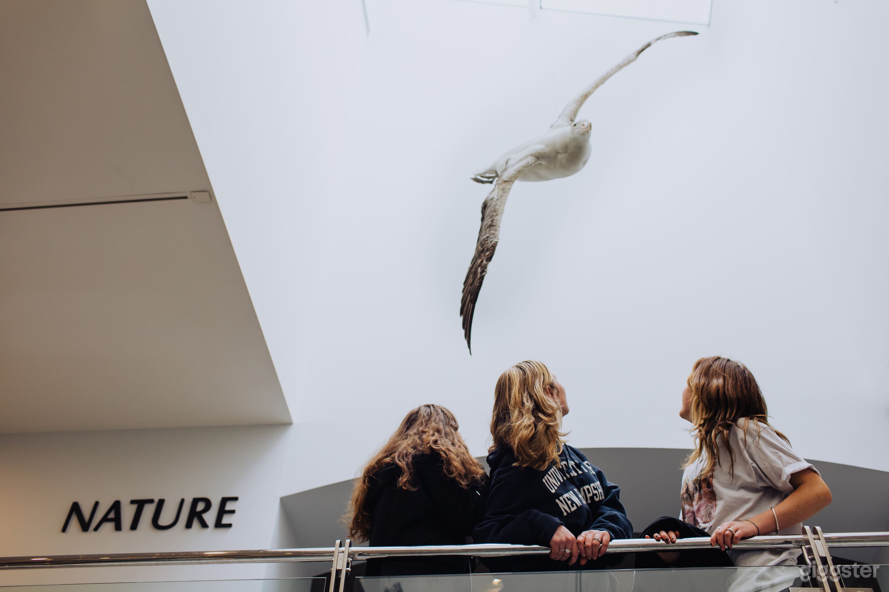 Nature Gallery Museum Photo 3