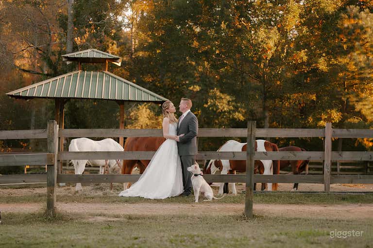  The Big Red Brick Barn in Alpharetta (Buyout) 