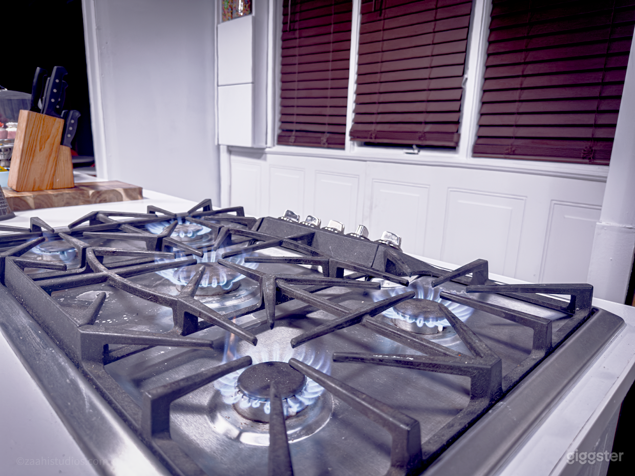 5 Burner Propane Rangetop on Wheels.