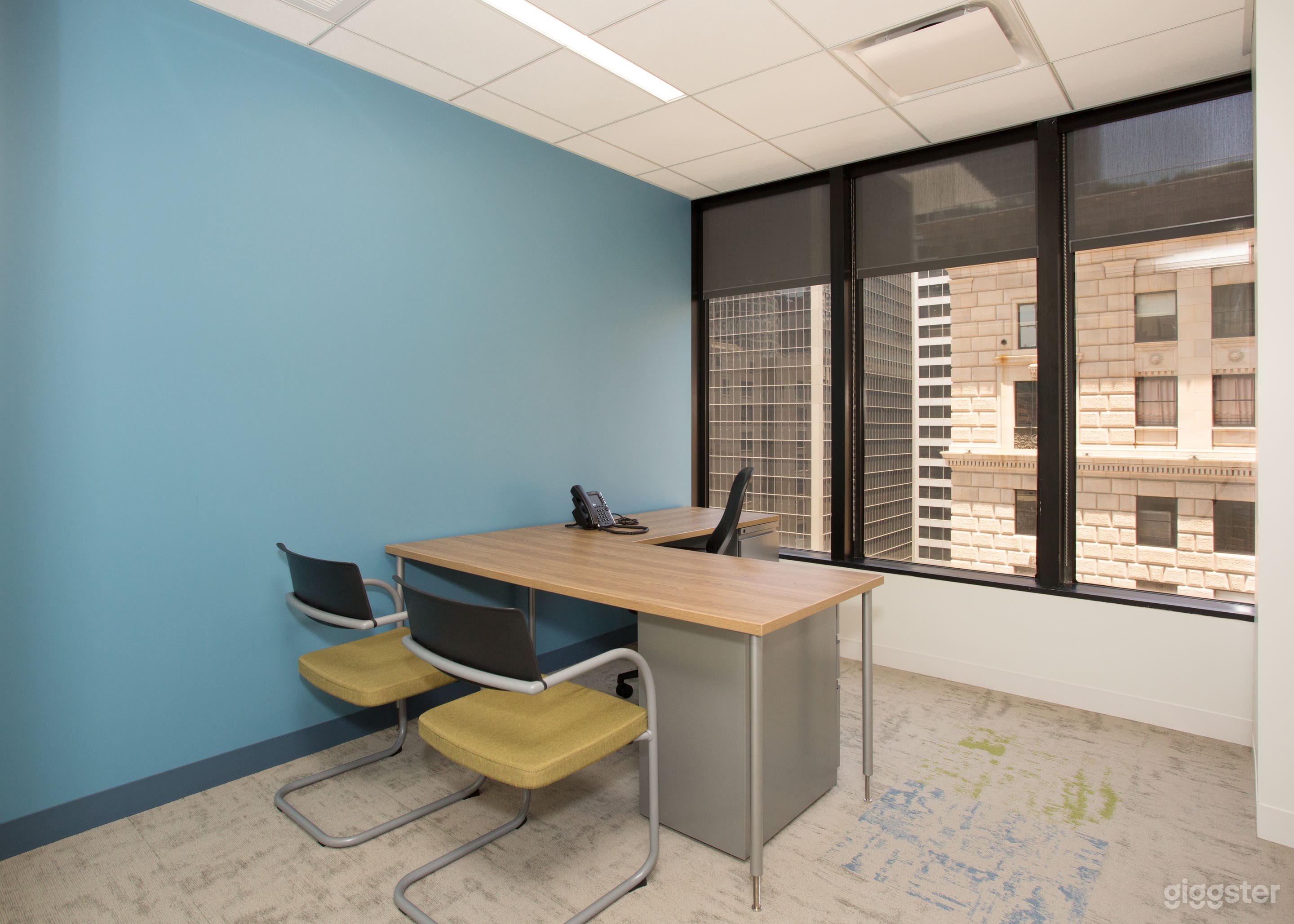 Private Office in DTLA  Photo 1