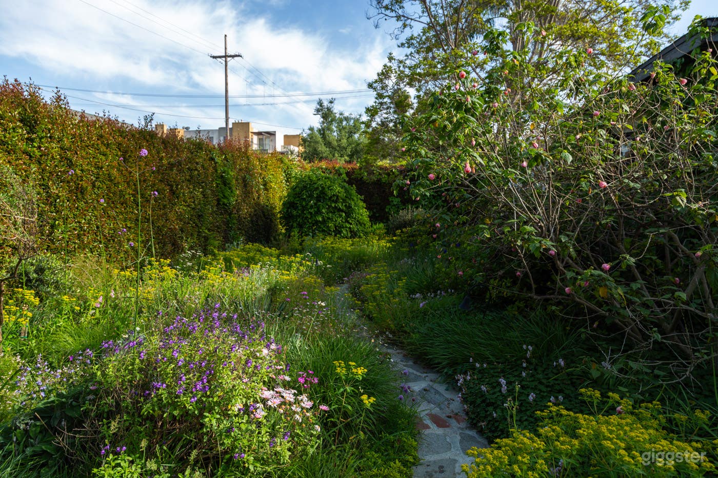 DREAM GARDEN HOUSE #146 Photo 3