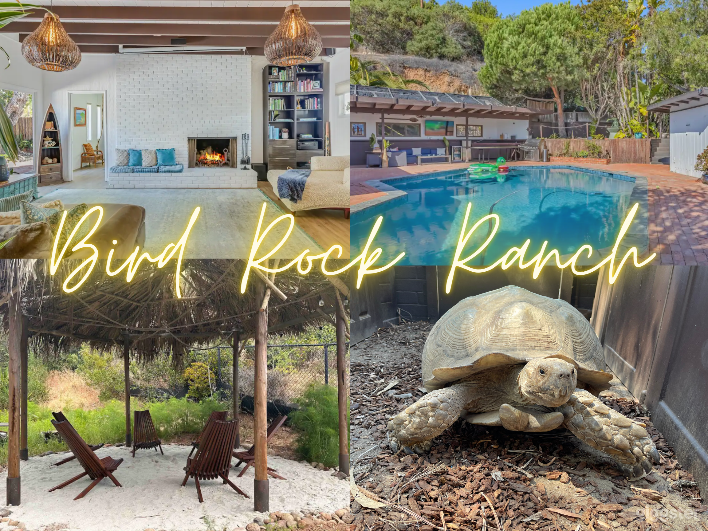 Take a video tour of Bird Rock Ranch here: https://youtu.be/oWOocMN_ljM