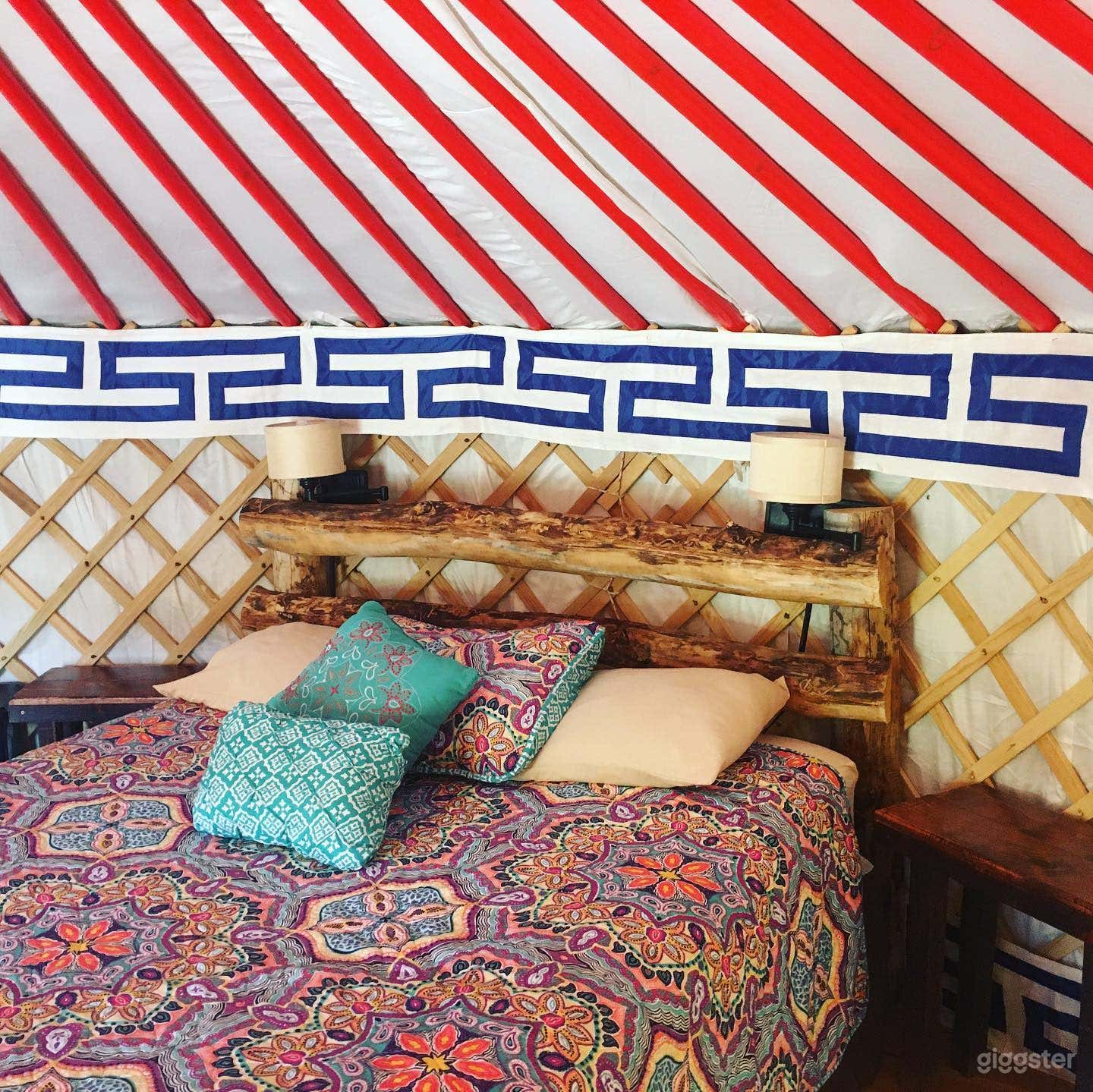 Unique Yurts with Colorful Design Photo 2