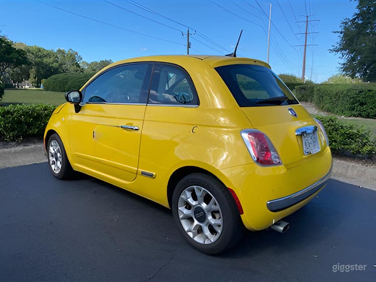  Premium, white-glove Pet Car Service 