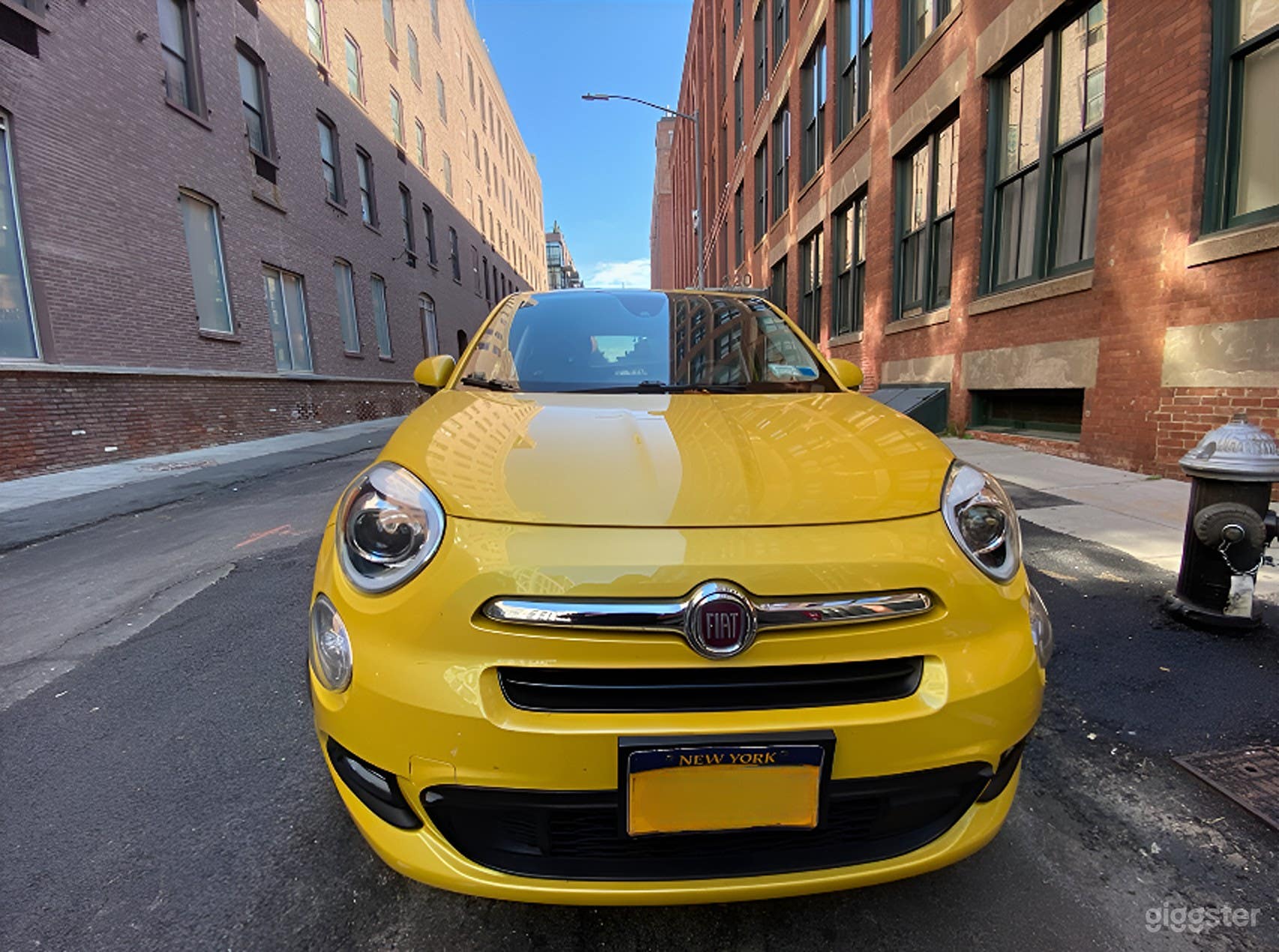 Premium, white-glove Pet Car Service Photo 3