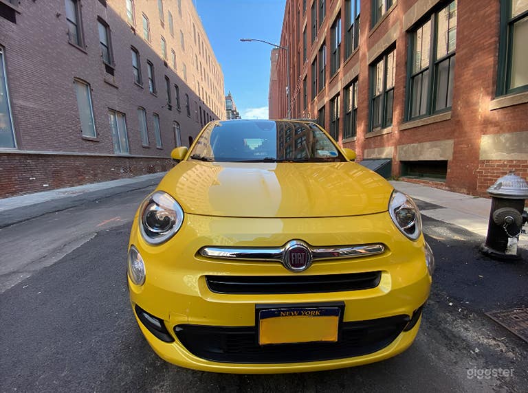  Premium, white-glove Pet Car Service 