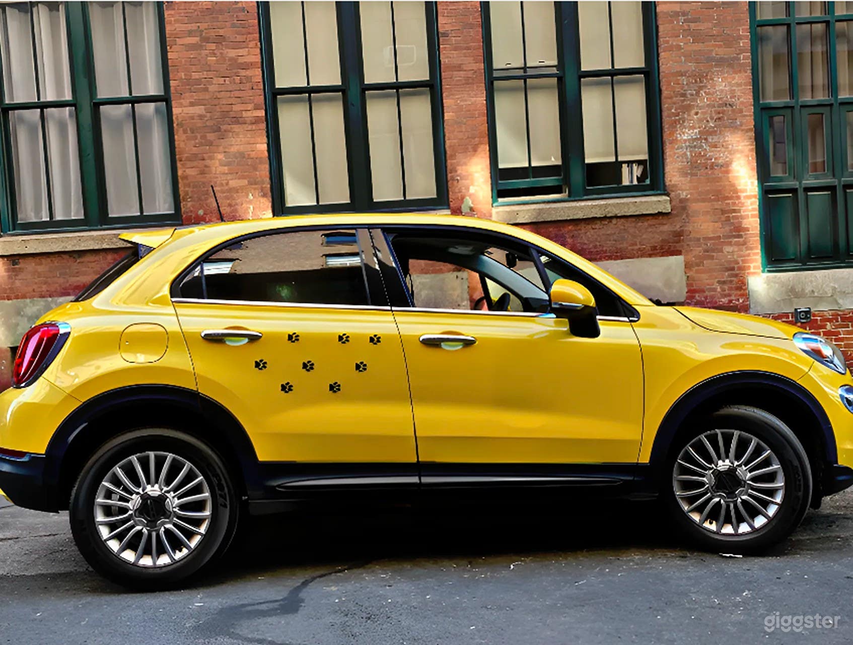 Premium, white-glove Pet Car Service Photo 4