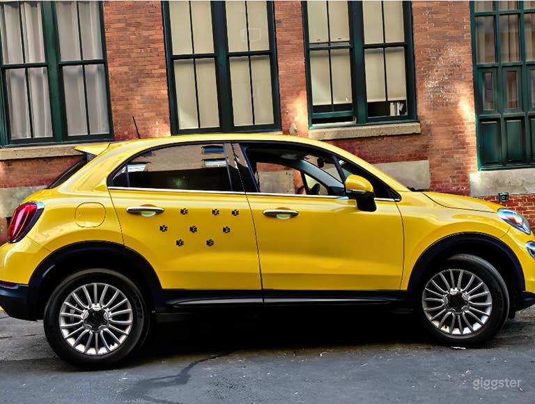  Premium, white-glove Pet Car Service 