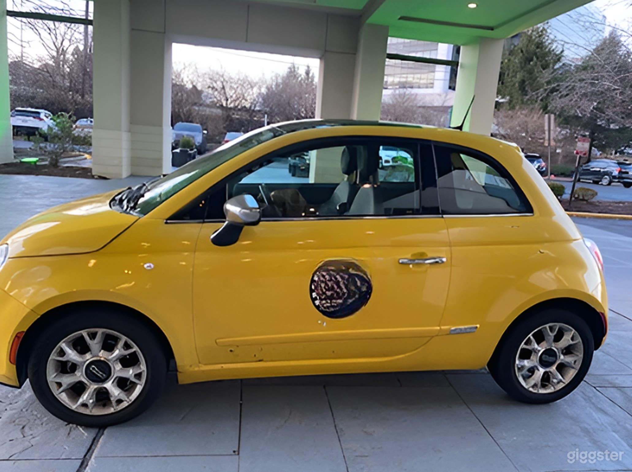 Premium, white-glove Pet Car Service Photo 1