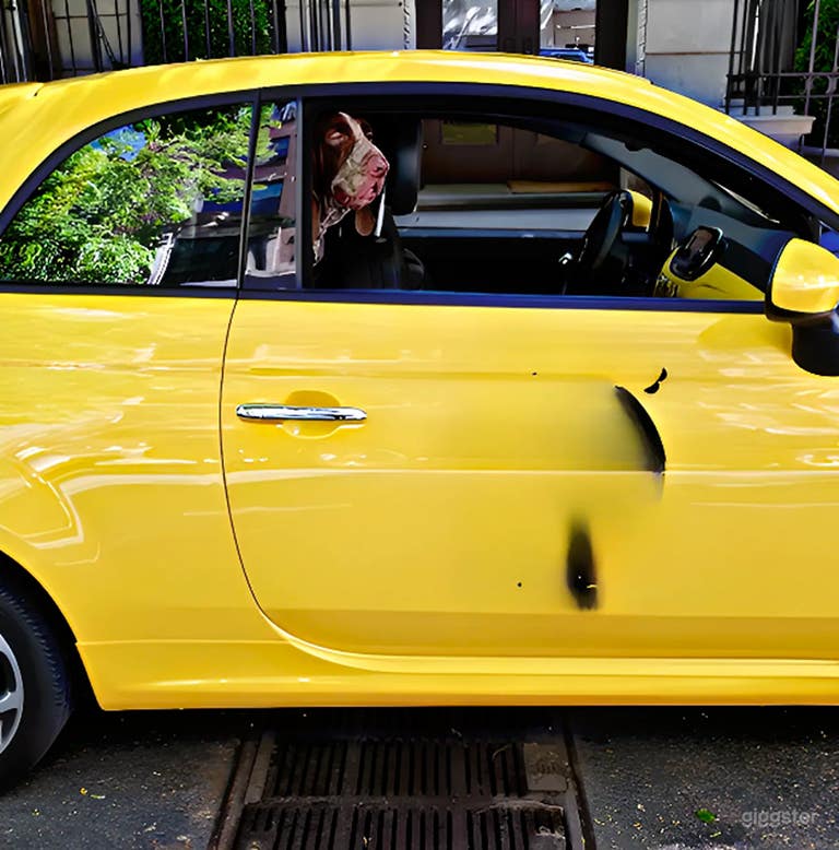  Premium, white-glove Pet Car Service 