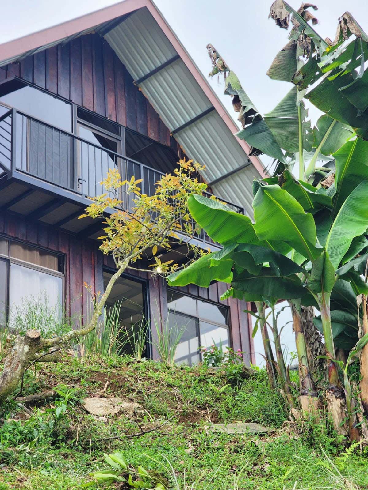 Your Mountain Paradise Cabin Retreat in Costa Rica Photo 2