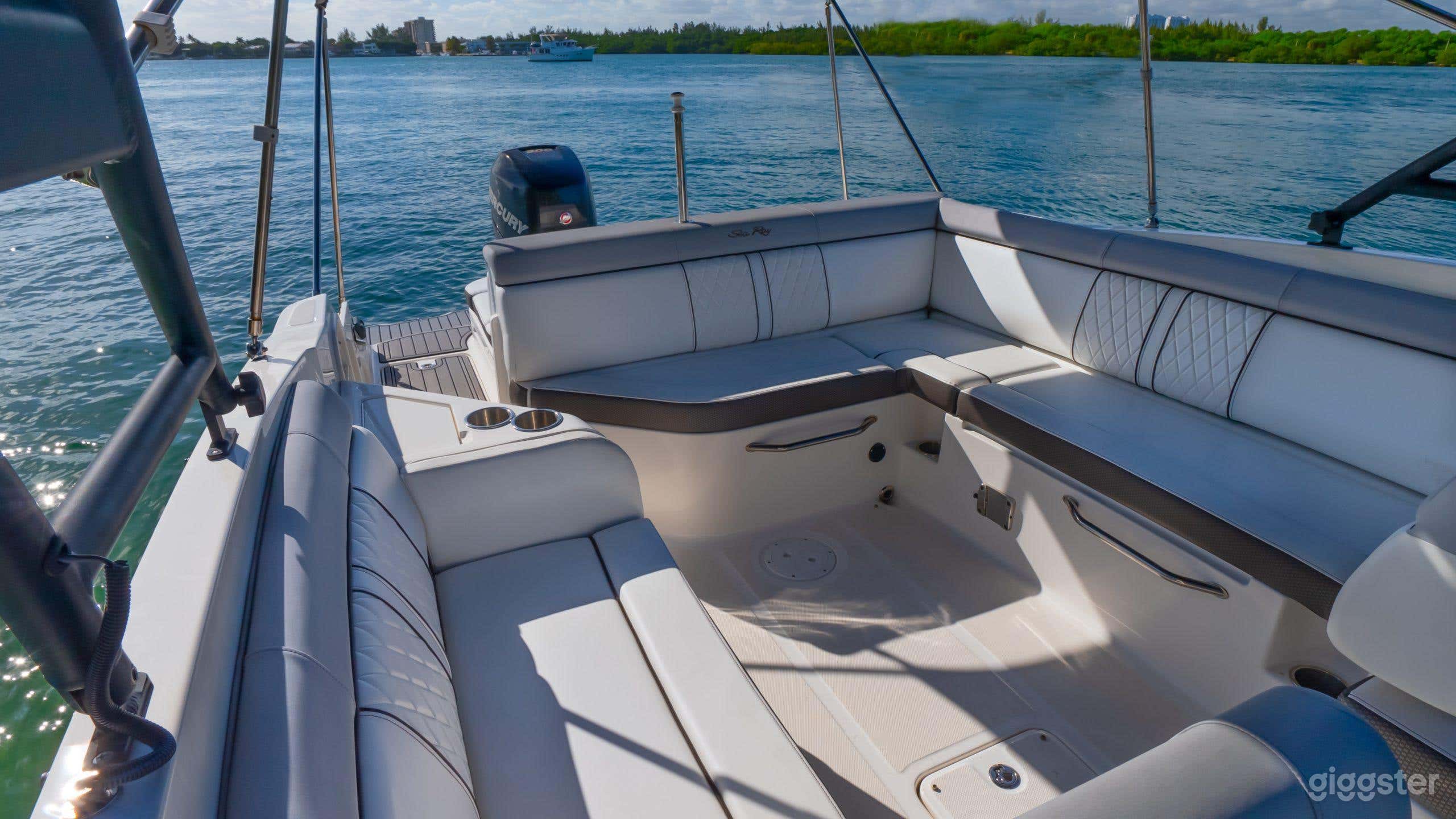 29-ft Boat - Searay SDX270 Photo 3