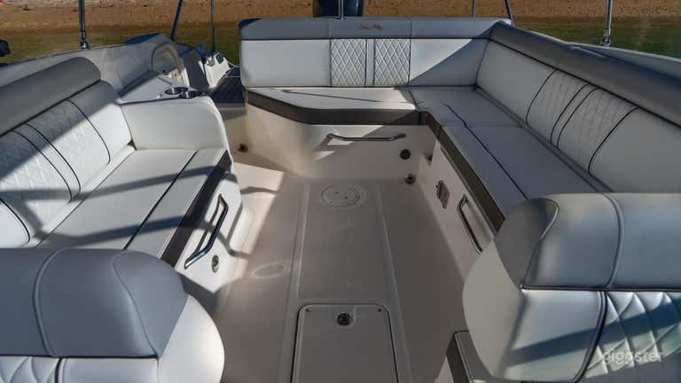  29-ft Boat - Searay SDX270 
