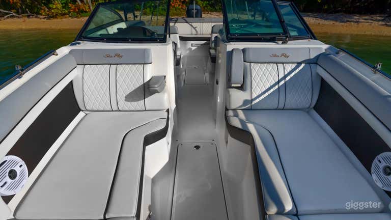  29-ft Boat - Searay SDX270 