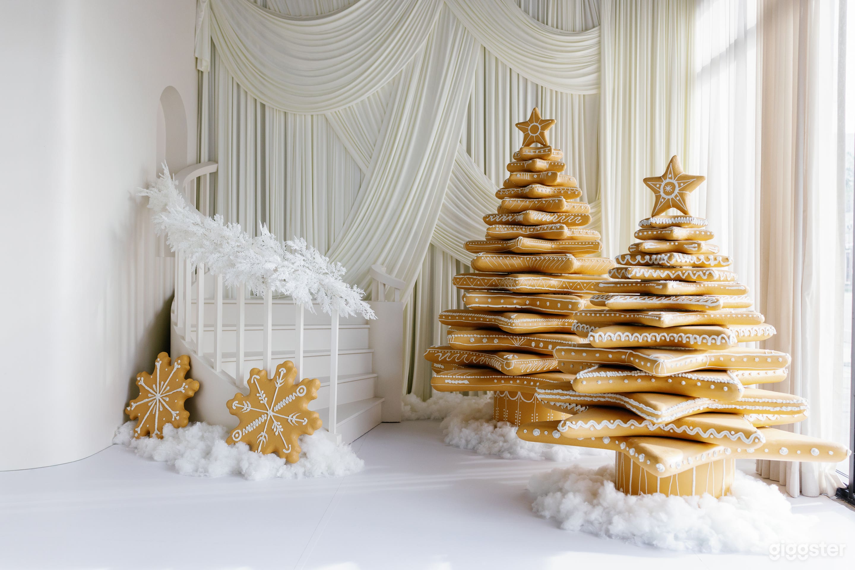 Modern Natural Light Studio Photo 2