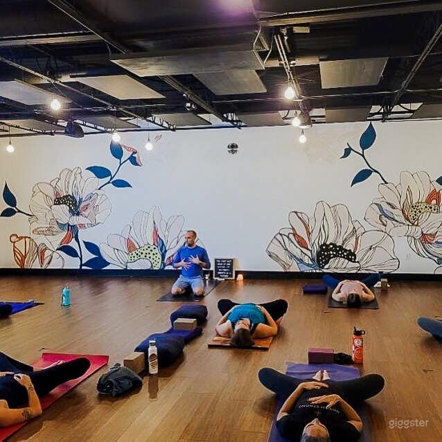 Vibrant, Relaxing Yoga Studio in Minneapolis Photo 1