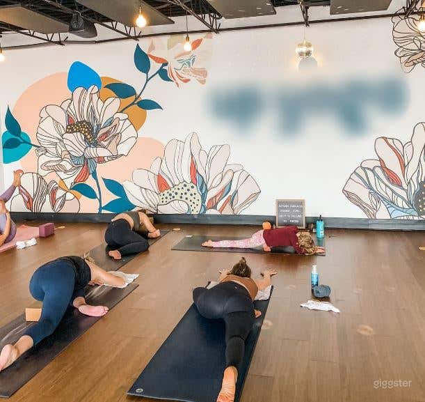  Vibrant, Relaxing Yoga Studio in Minneapolis 