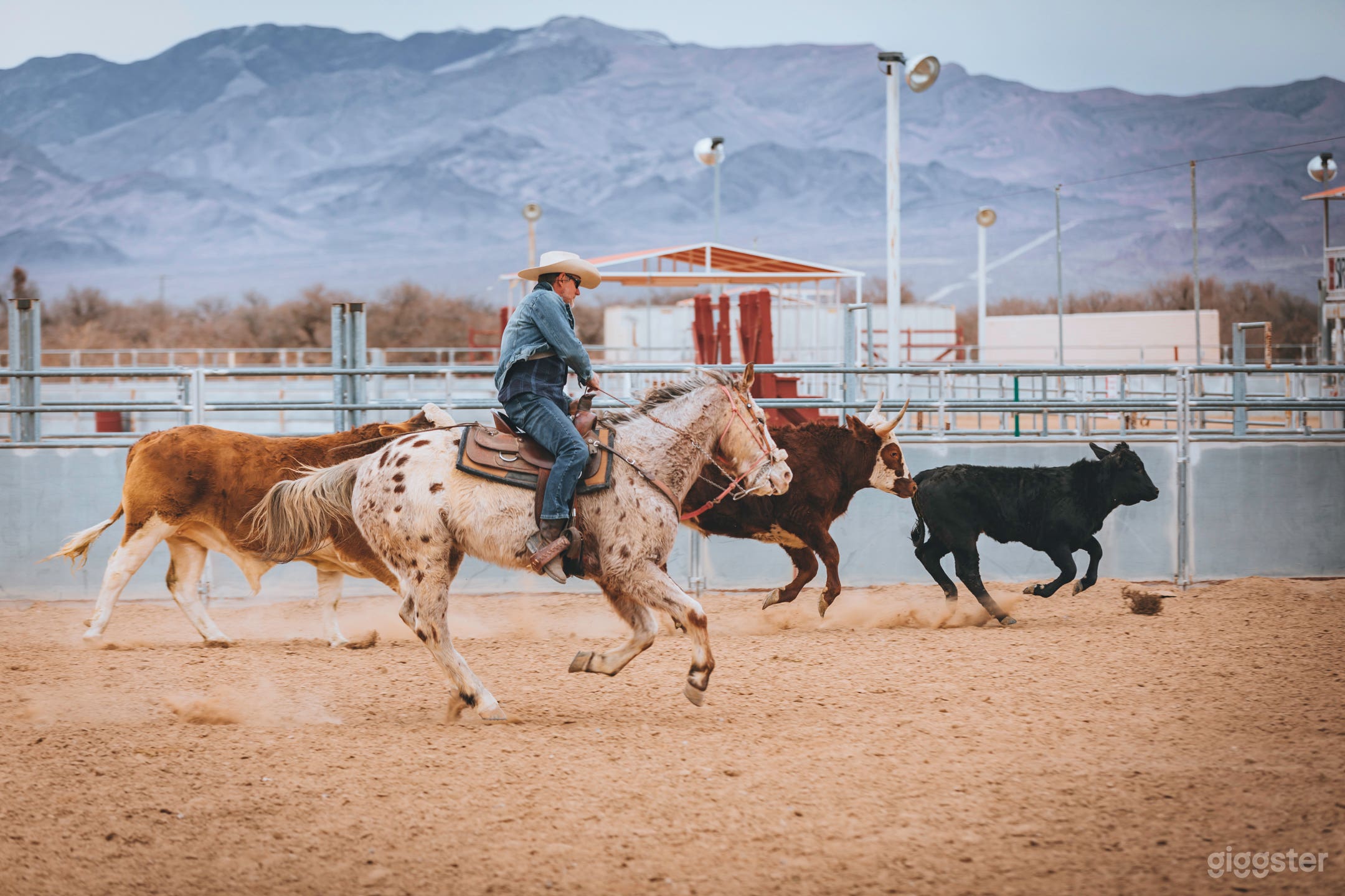 160 acre dude ranch just 45 min from Las Vegas Photo 3